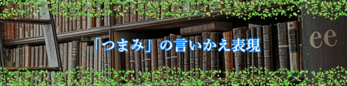 「つまみ」の言いかえ表現