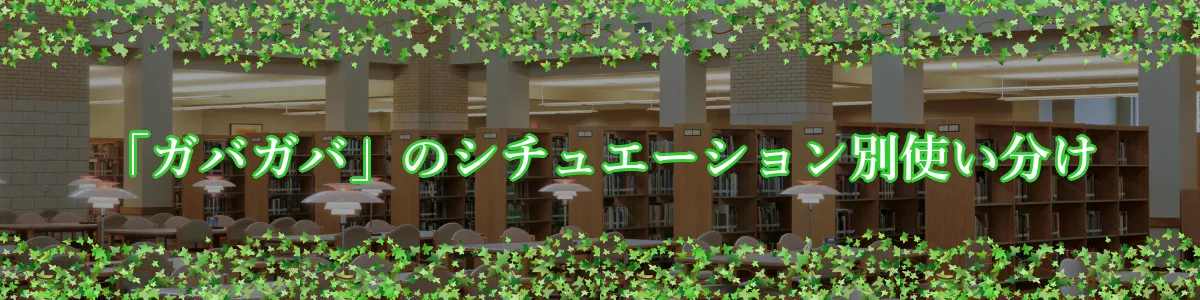 「ガバガバ」のシチュエーション別使い分け